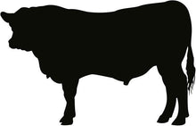 Load image into Gallery viewer, Beef Bratwurst - Original - Beef casing
