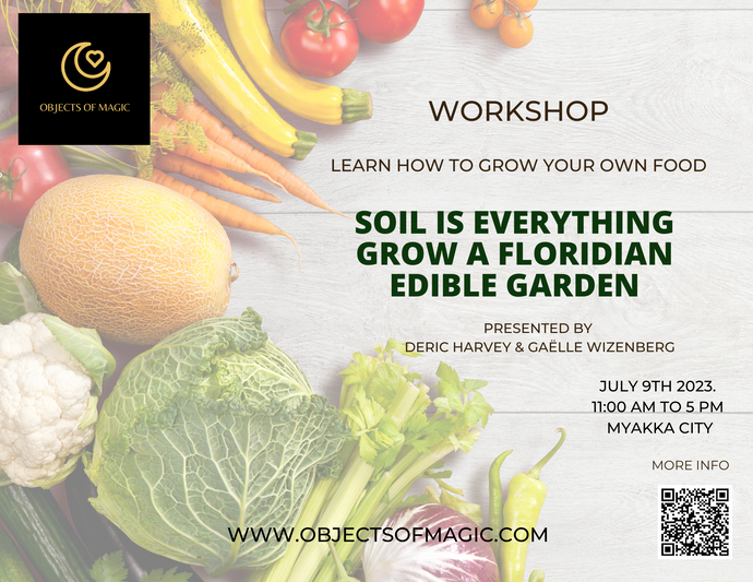 Soil is Everything -Floridian Vegetable Garden