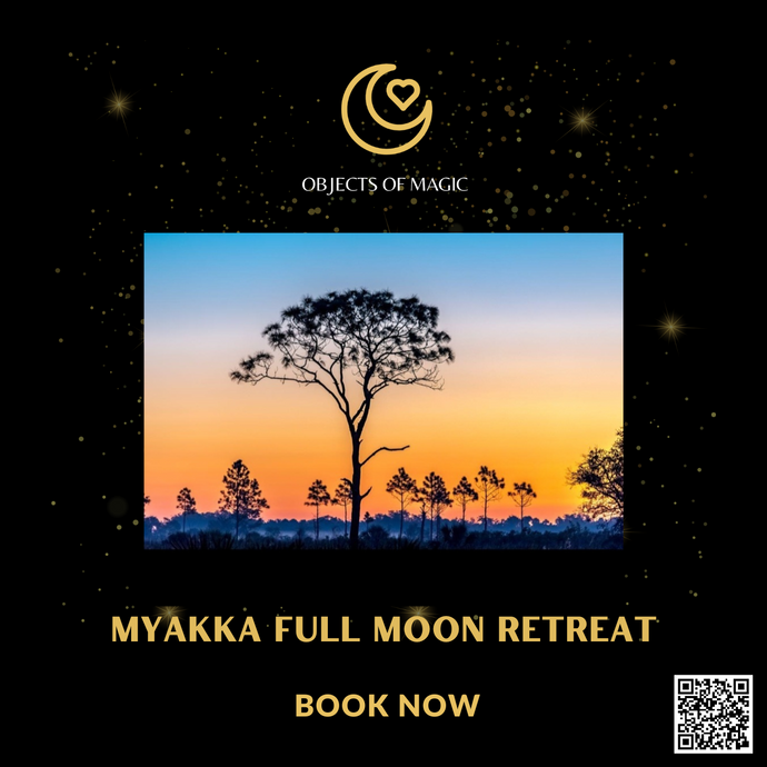 Full Moon Myakka Mini Retreat -  818