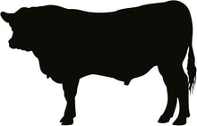 Load image into Gallery viewer, Beef Top Sirloin Steak - 10 oz
