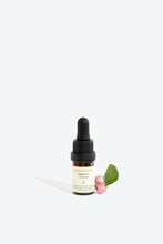 Load image into Gallery viewer, Essential Oil Blend FRIGGA
