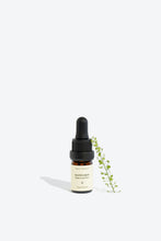 Load image into Gallery viewer, Essential Oil Mandarin
